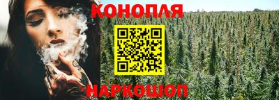 гидра Берёзовский